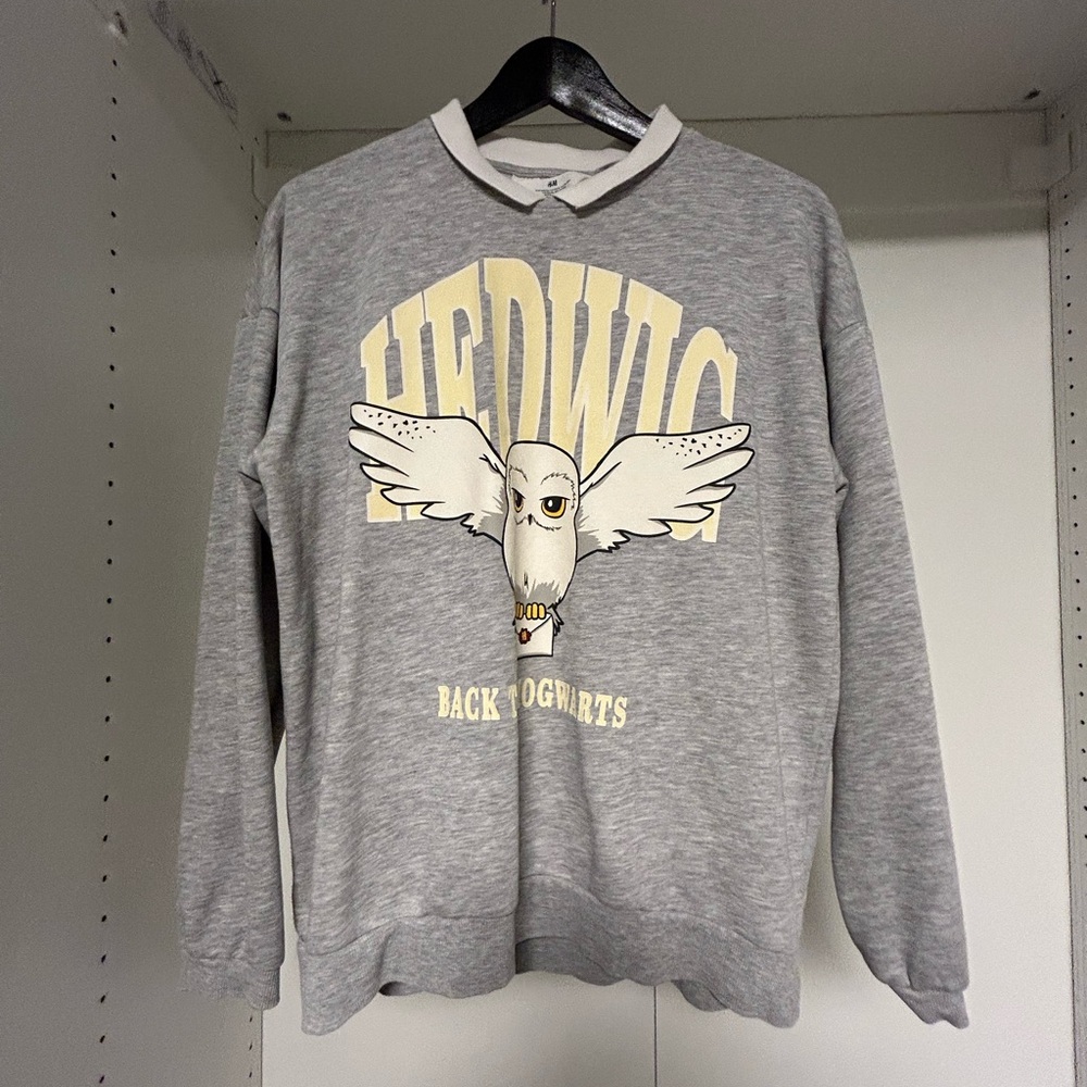 H&M Gray Harry Potter Hedwig Graphic Kids' Sweater